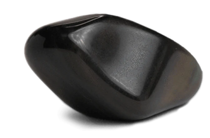 tesla medbed center cost