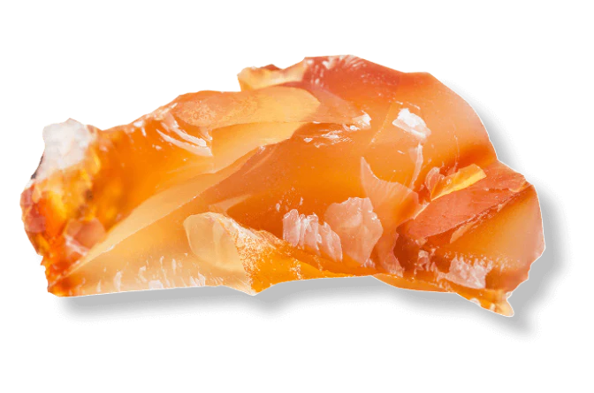 tesla medbed center locations