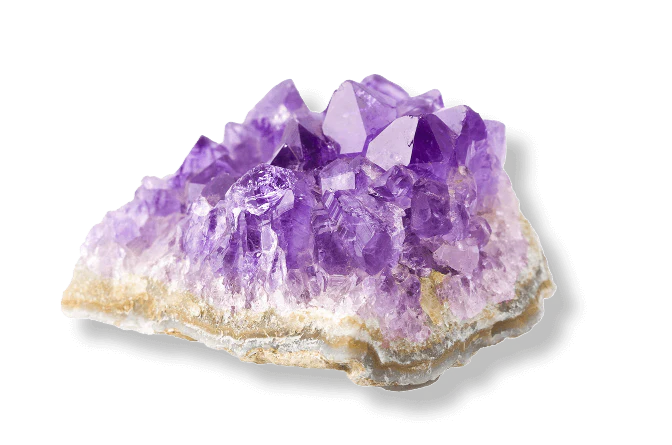 tesla medbed center reviews